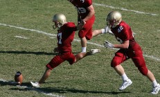 综合格斗赛场焦点！澳大利亚队对阵英格兰队，激战正酣，豪门对决再度上演