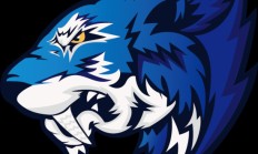  Ming在加拿大队比赛中战术调整，赛事规则更新引发热议！